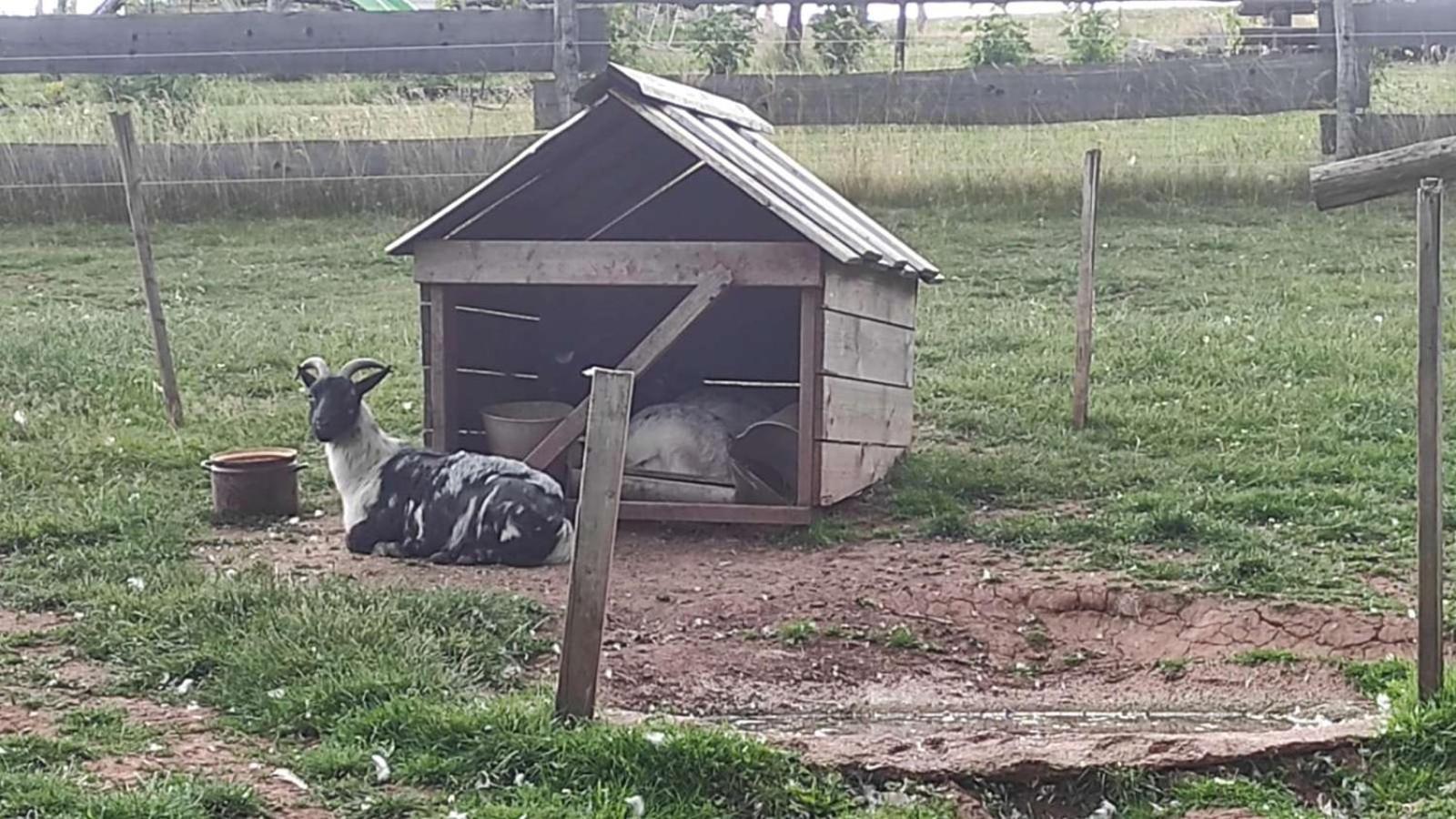 Apartman Na Statku Červený Kostelec Exterior foto